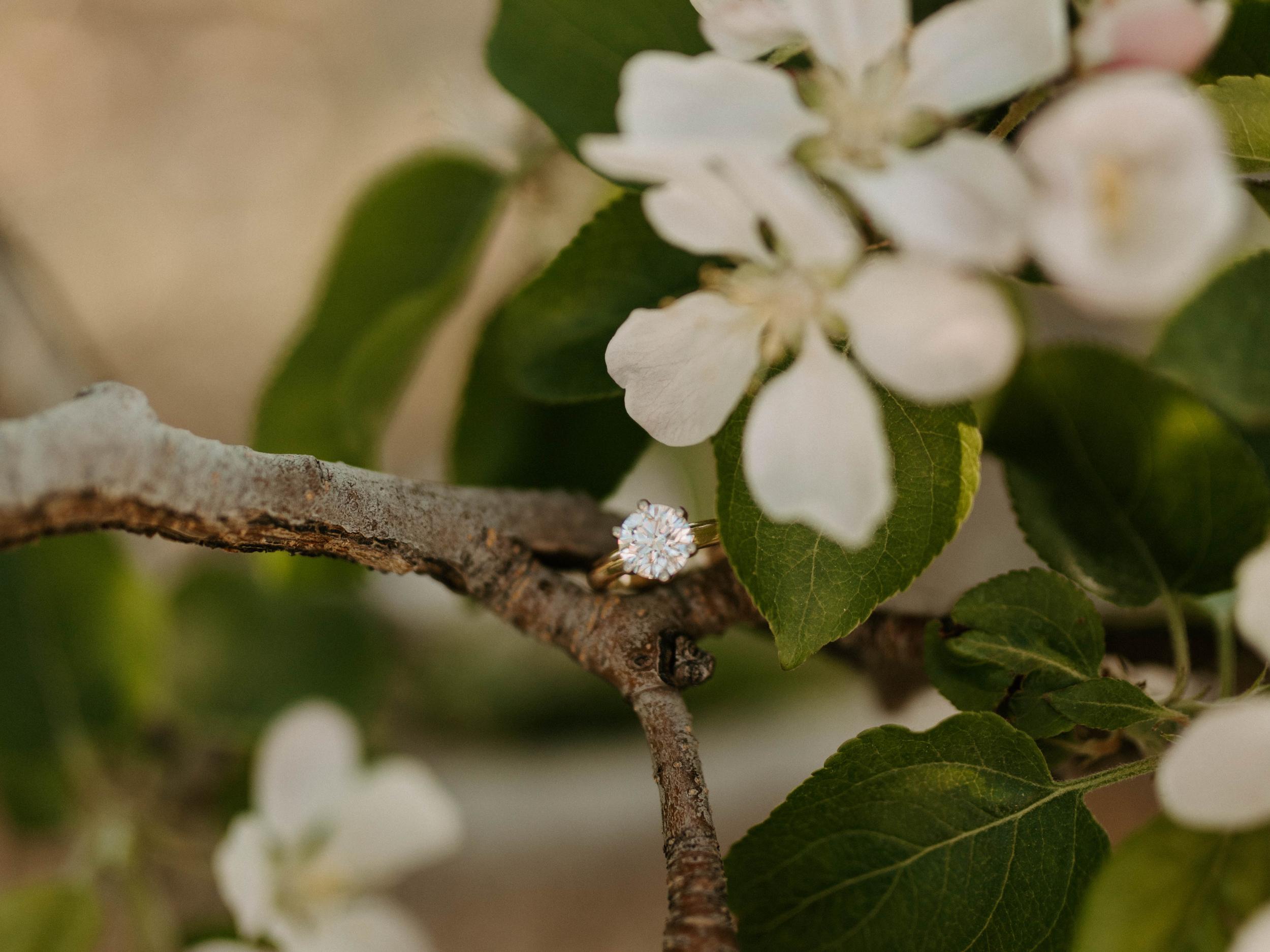 The Wedding Website of Dayton Bourassa and Maddison Kadnar