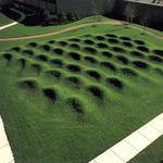 Wave Field