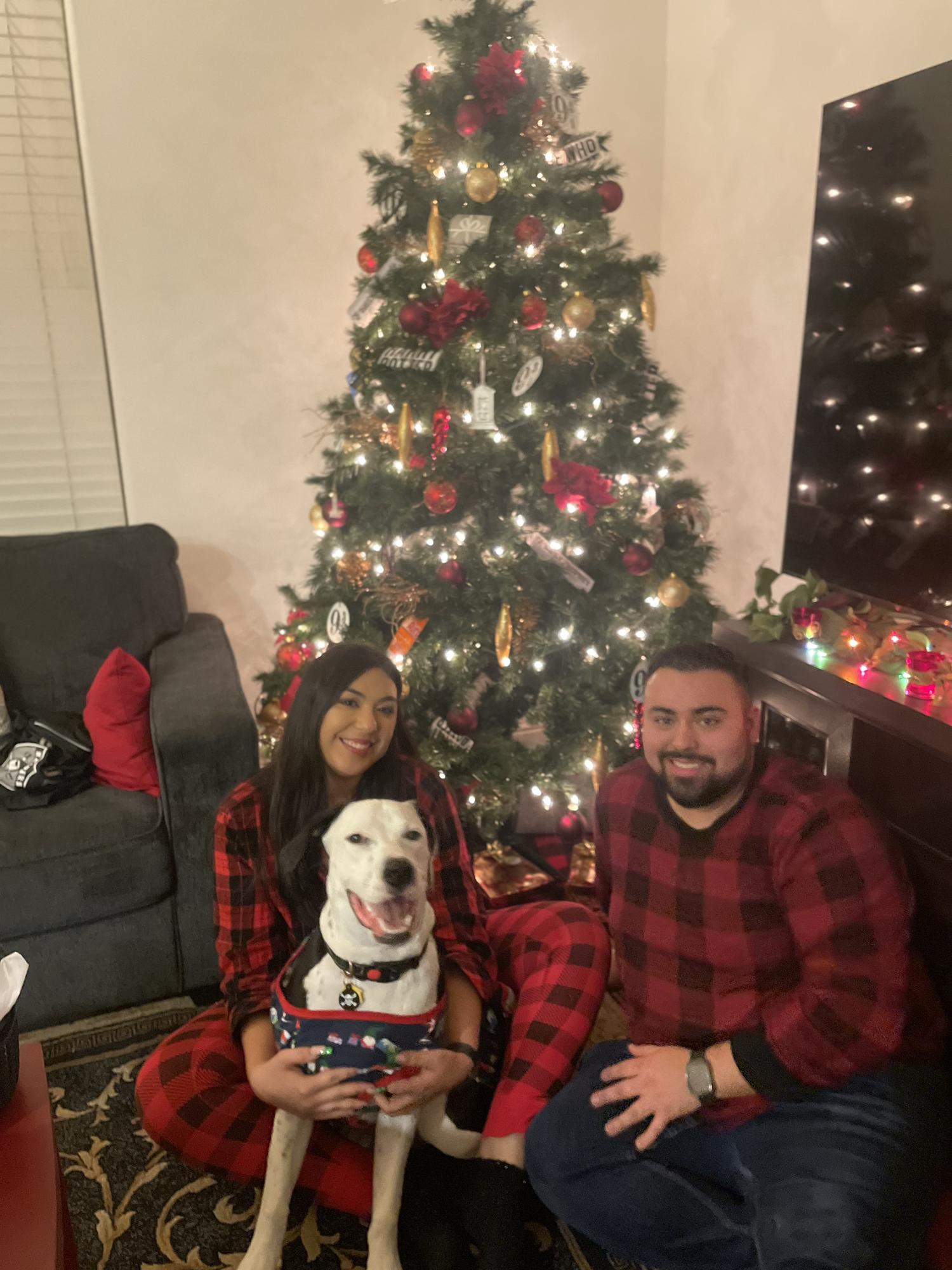 Georgie’s 1st Christmas