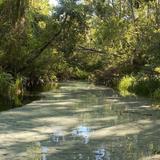 Weeki Wachee Springs State Park