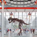 California Academy of Sciences