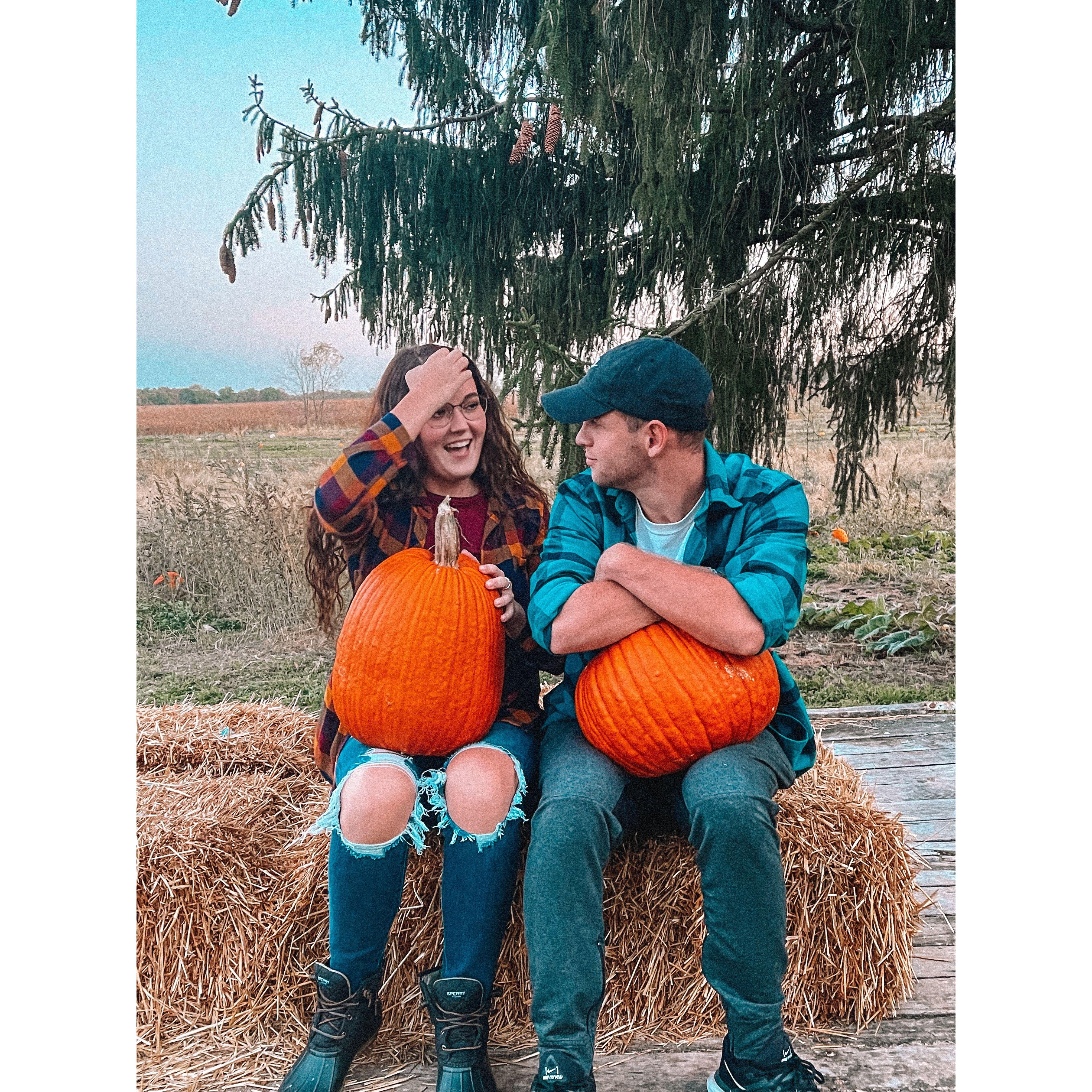 Pumpkin patch 2021