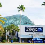 The Florida Aquarium