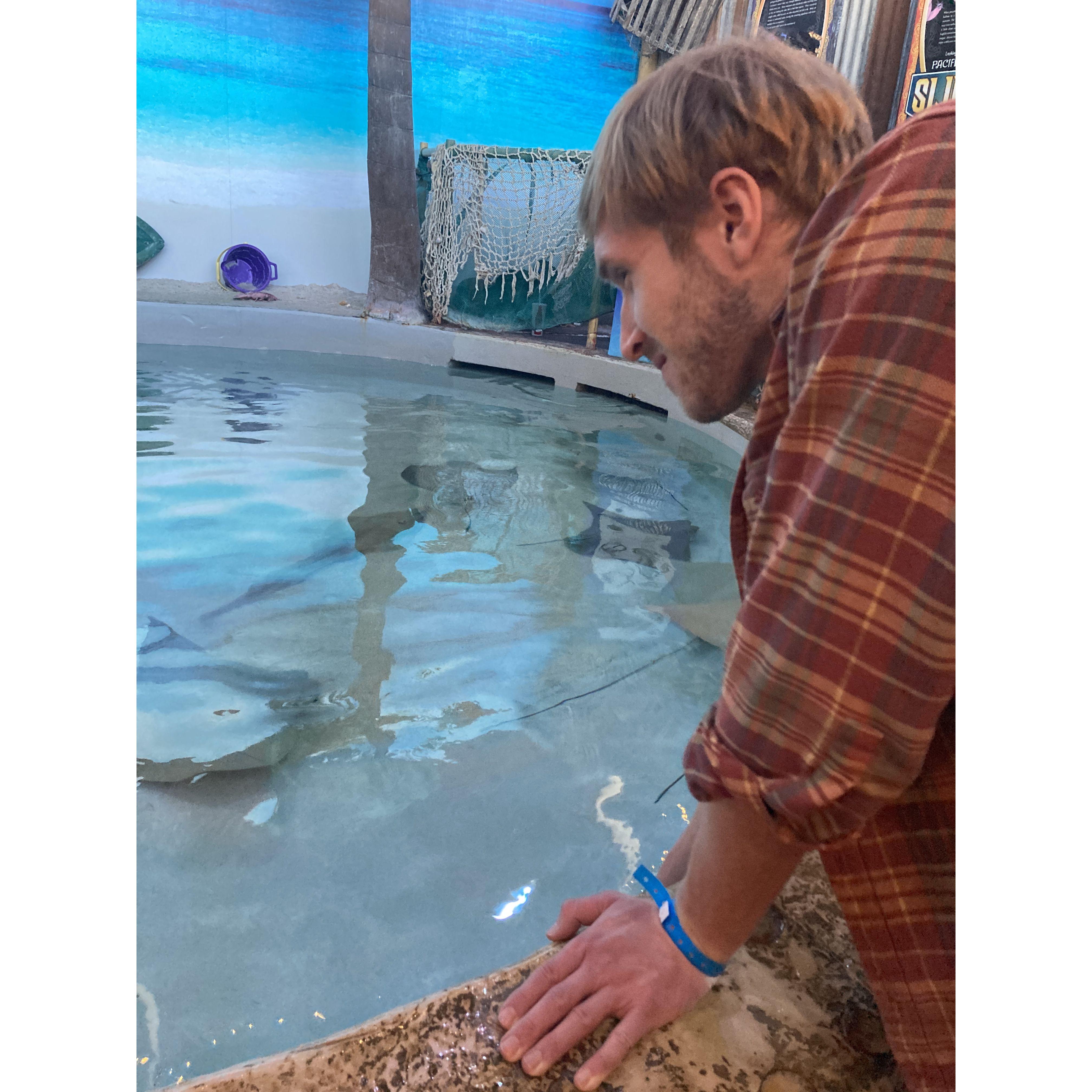 Denver Aquarium - Daniel should be a caretaker for the rays exhibit.