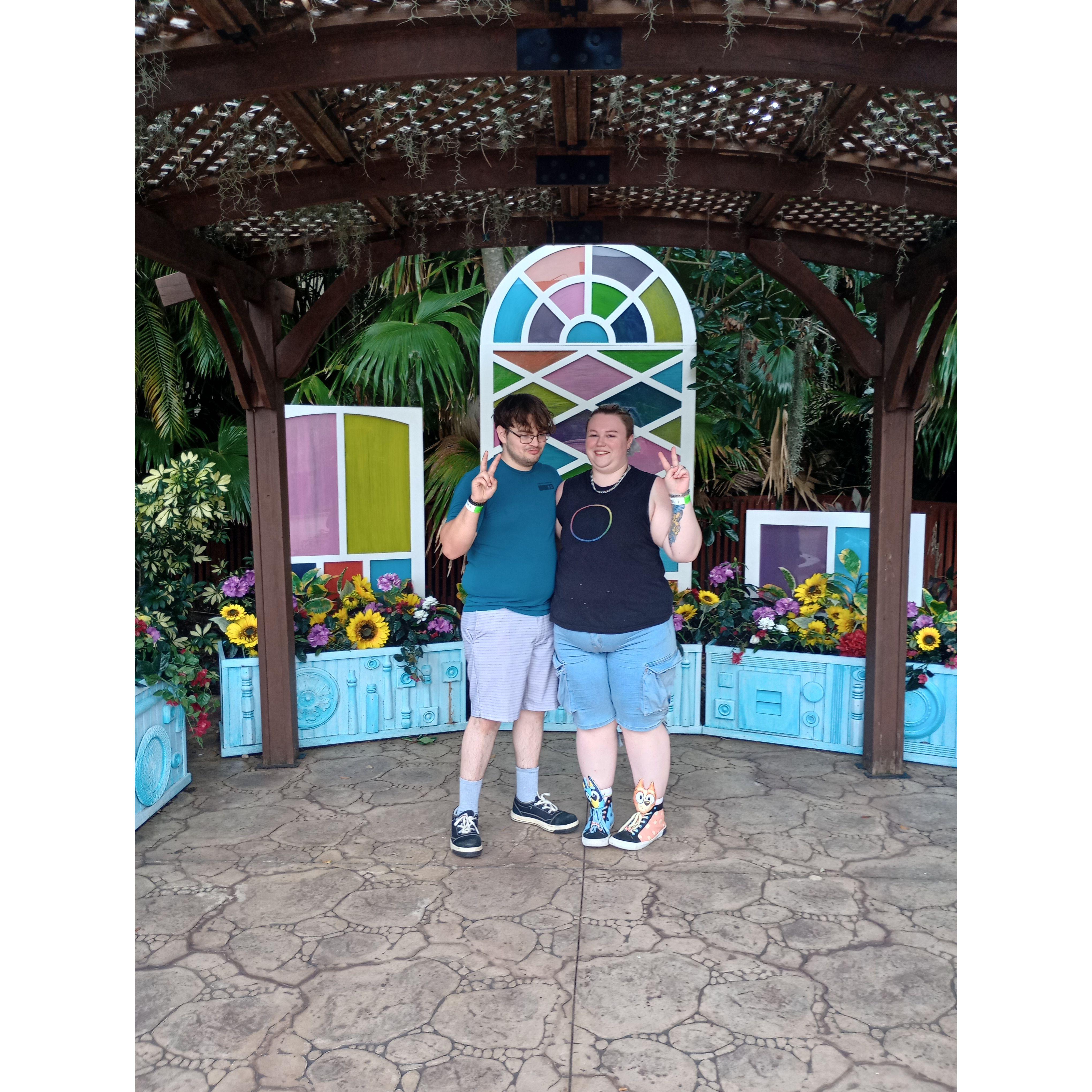 Our recent trip to Florida!