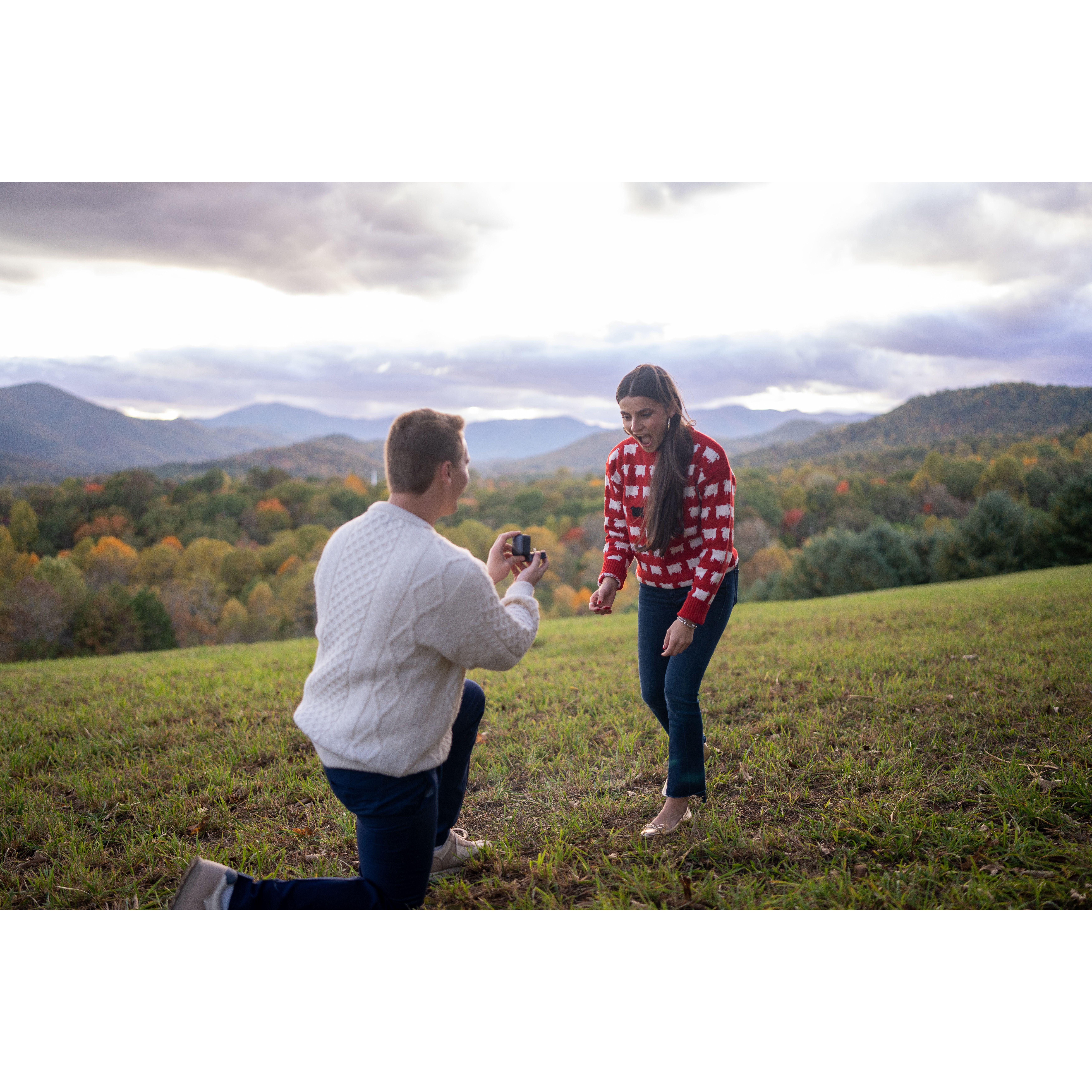The Proposal, 2023