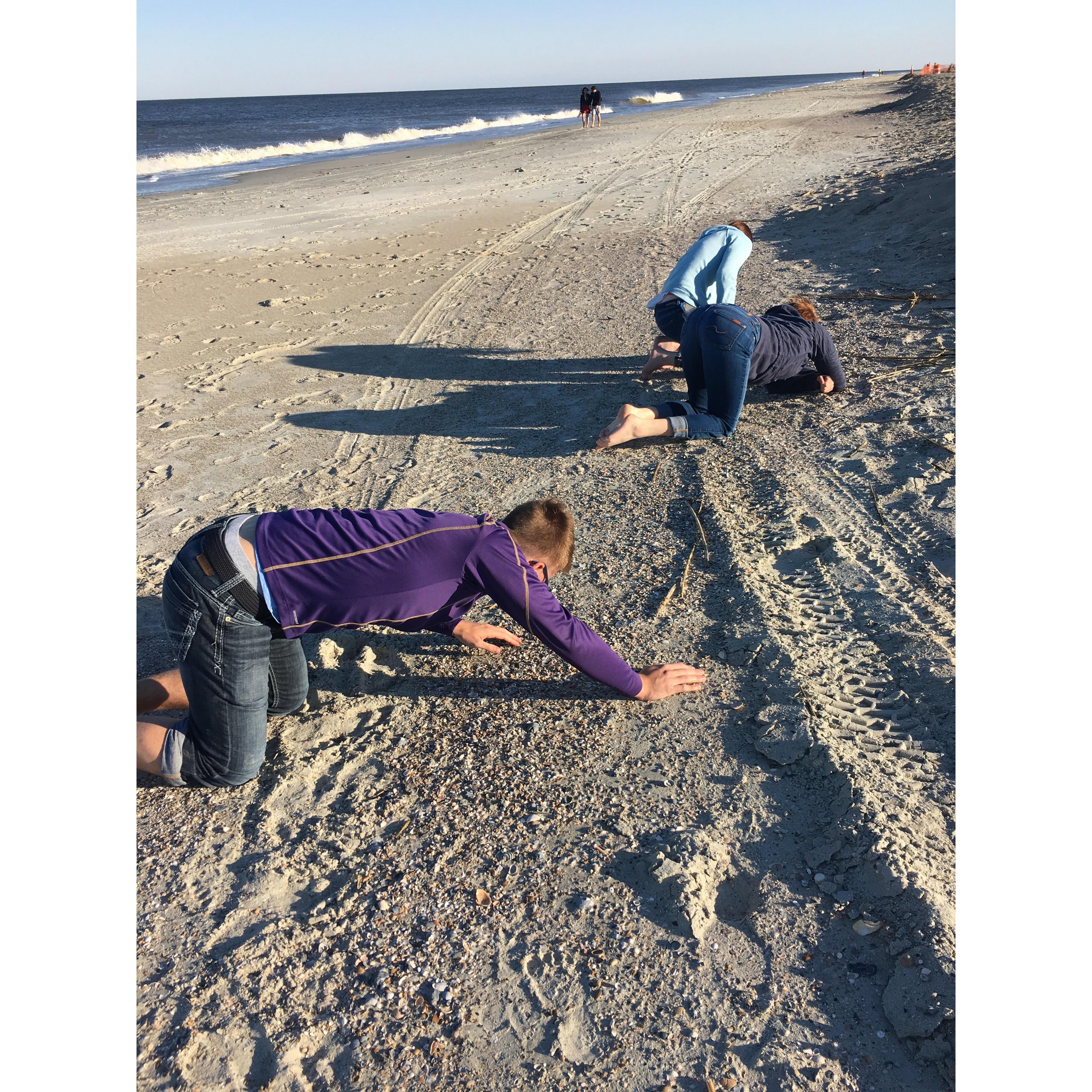 Don't mind us, just looking for shark's teeth at Tybee Island.