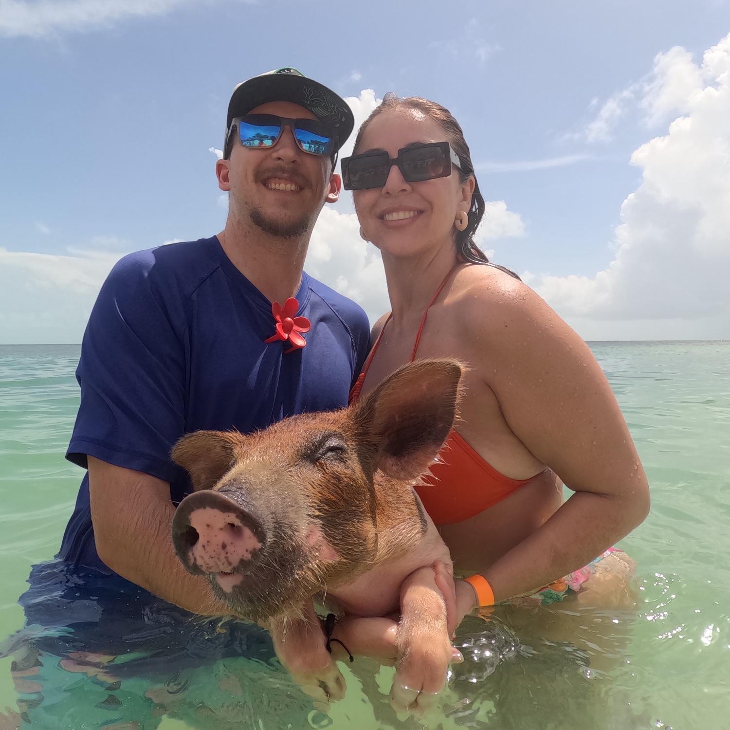 Swimming with pigs!