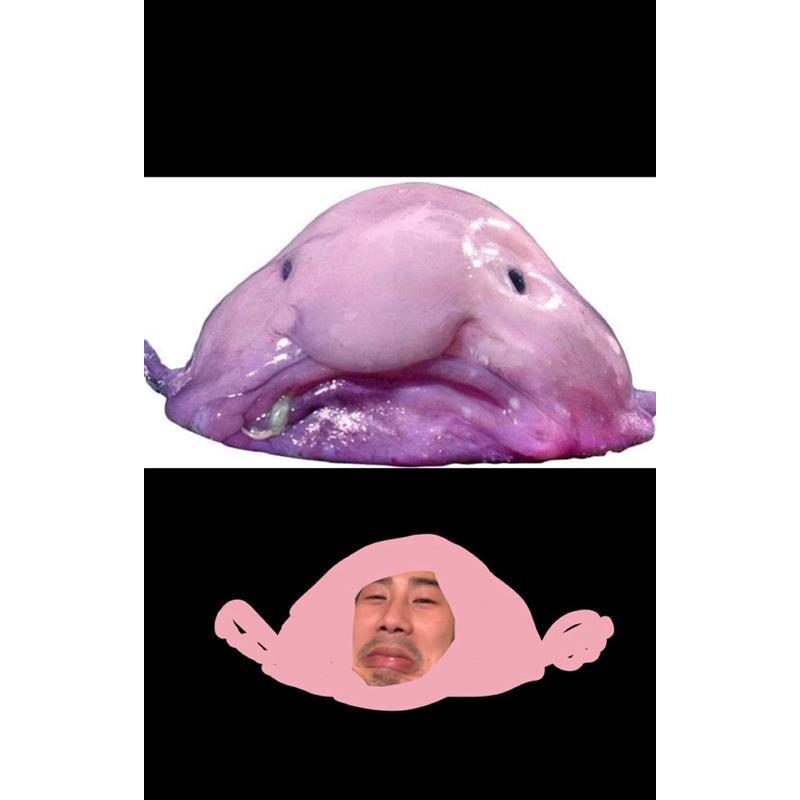 I swear Justin looks just like a blobfish.