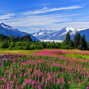Honeymoon in Jackson Hole, WY
