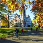 University of Massachusetts Amherst