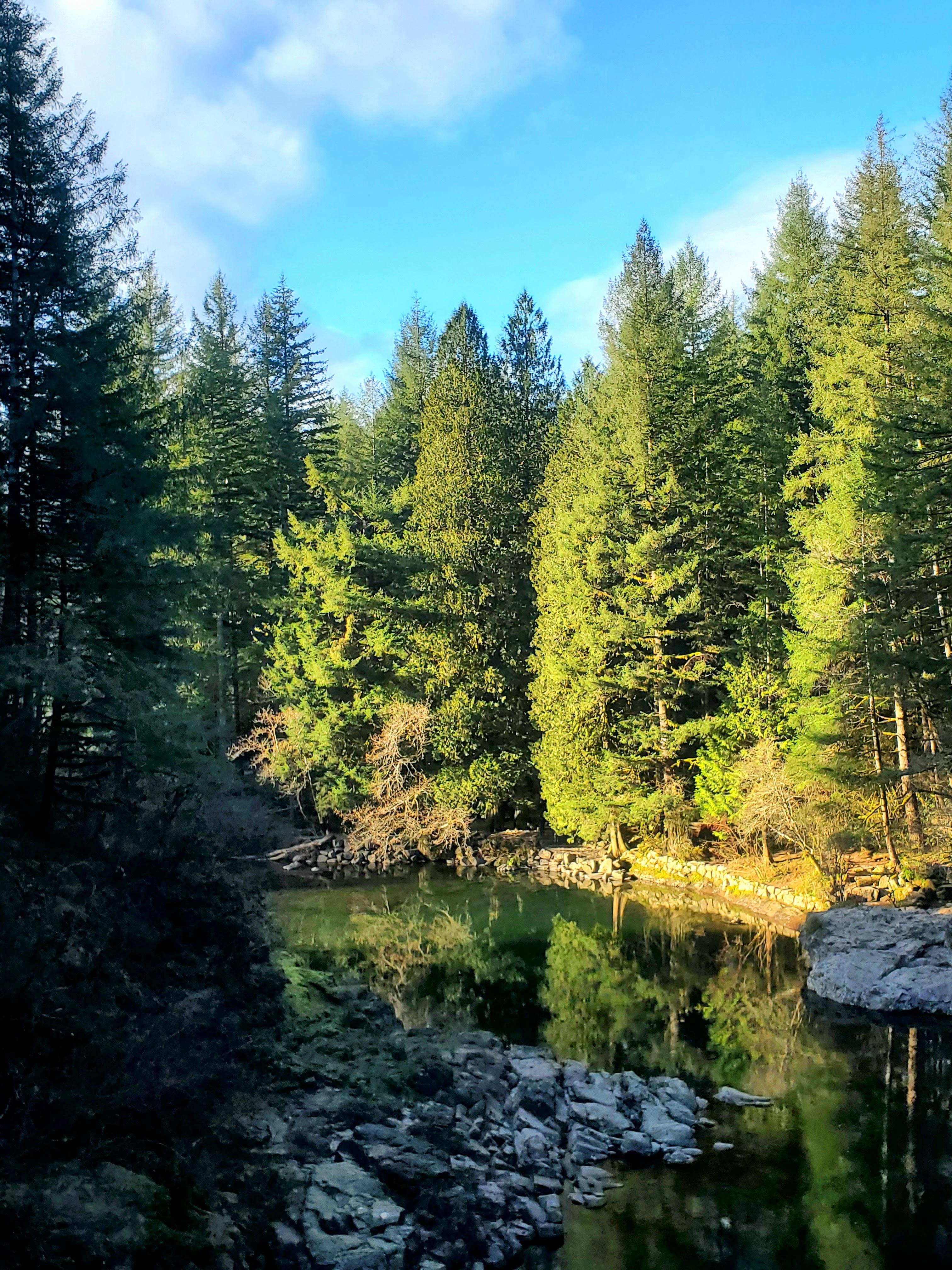 The Wedding Website of Mannix Montoya and Bethany Lozier