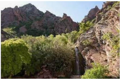 The Wedding Website of Jacklyn Anderson and Daniel Cotton