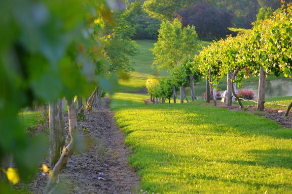 The Wedding Website of Heather Smith and Landon Simmons