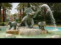 Audubon Zoo