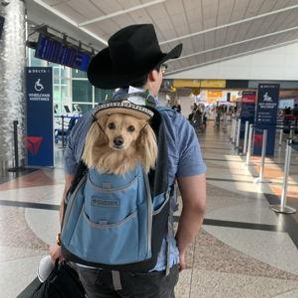 Take Milo on our adventures