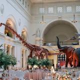 Field Museum