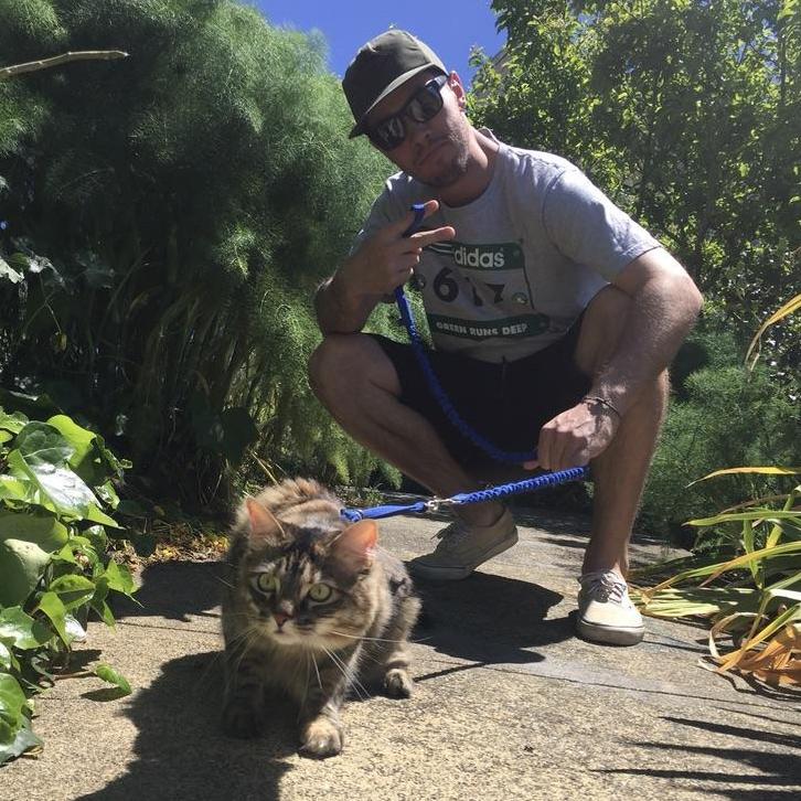 PSA: Don't forget to walk your cats!
