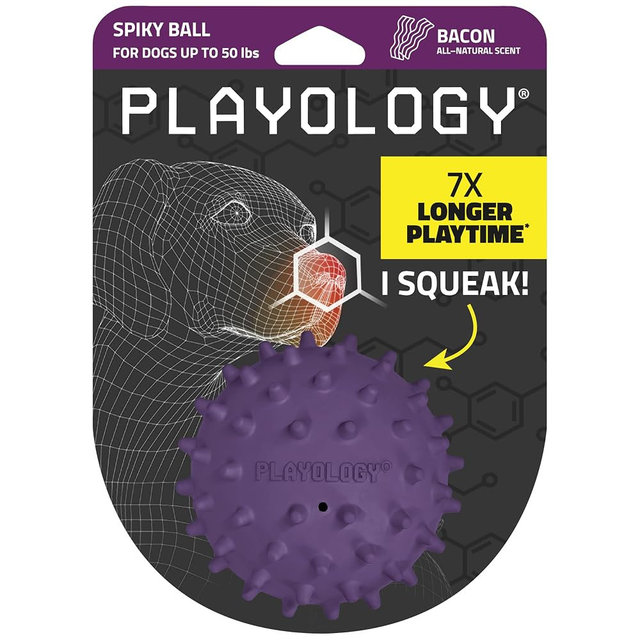 Playology Dog Toys | Squeaky Spiky Chew Ball for Medium Dogs | Bacon Scented Dog Ball for Tough Chewers