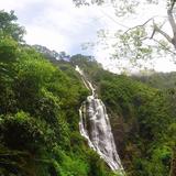 Badol Camping Grounds