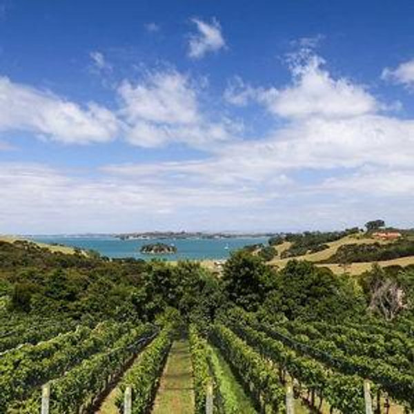 Wine Tasting For 2 at Cable Bay in New Zealand