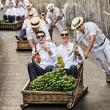 Botanical Garden Cable Car and Wicker Toboggan Ride ''carrozas de cestos"