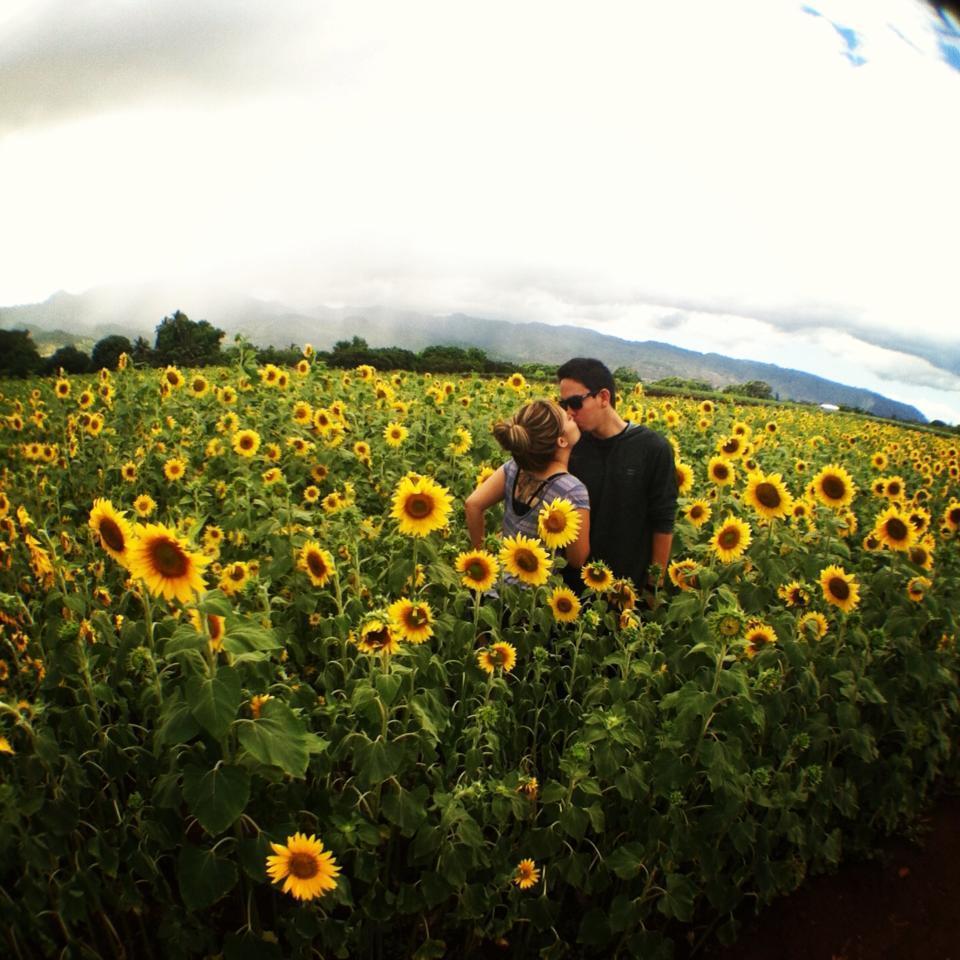 Haleiwa, HI 2013