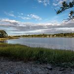 Marshlands Conservancy