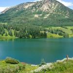 Trout Lake & Hope Lake