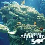 South Carolina Aquarium
