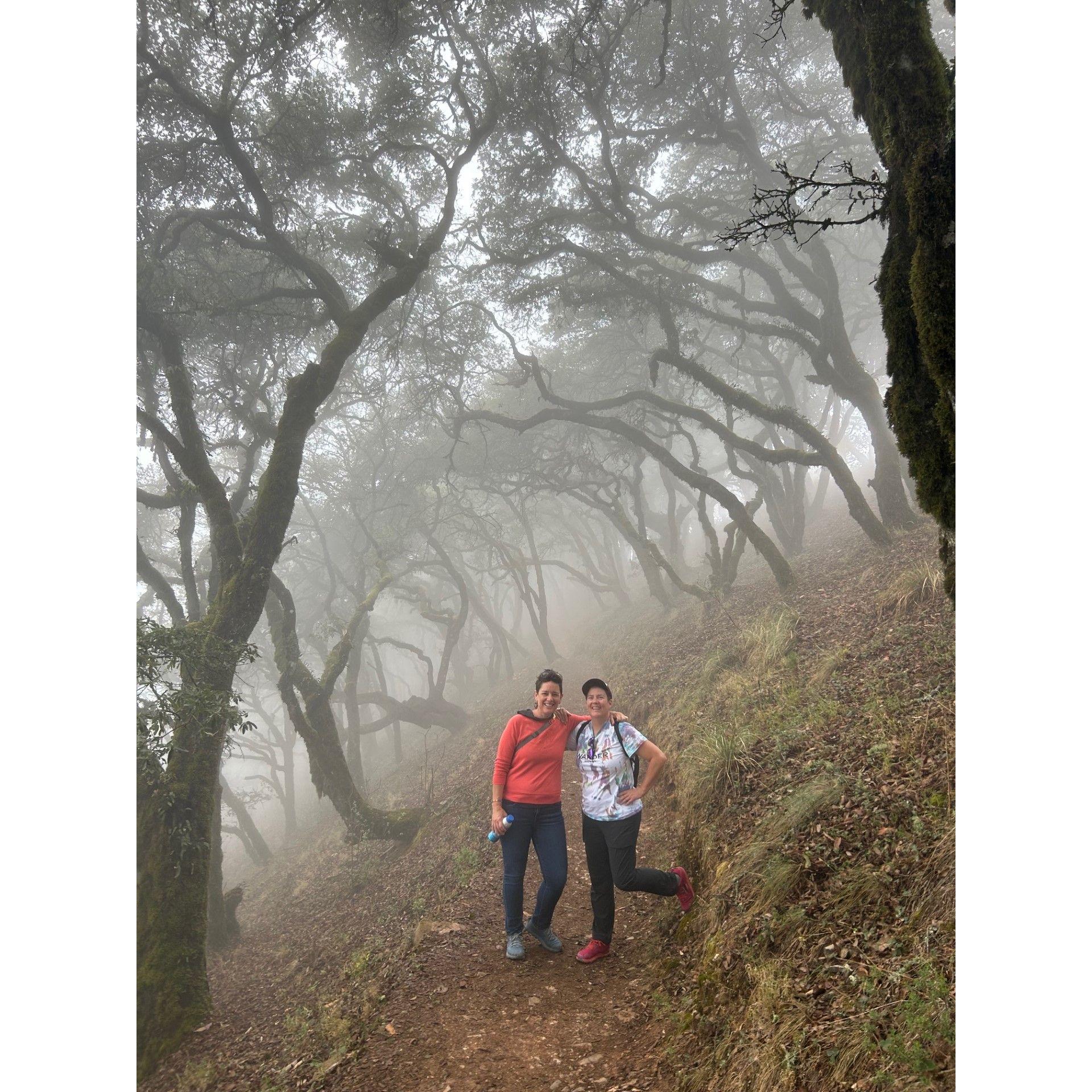 The cool creepy forest of the Cuatro Palos Mirador in Mexico.