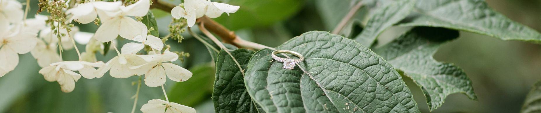 9b410ed7-1247-4fce-9cee-60ee5597433b