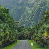 Hōomaluhia Botanical Garden