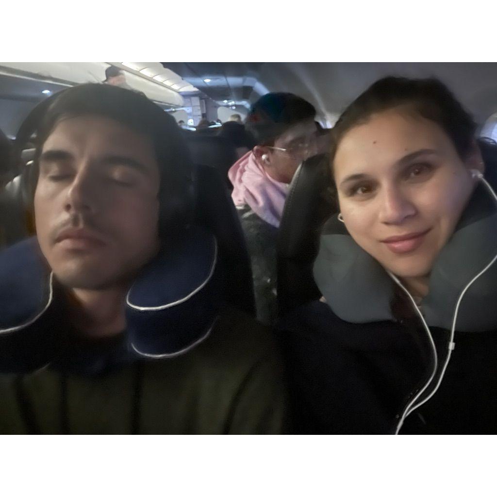 Vinny sleeping