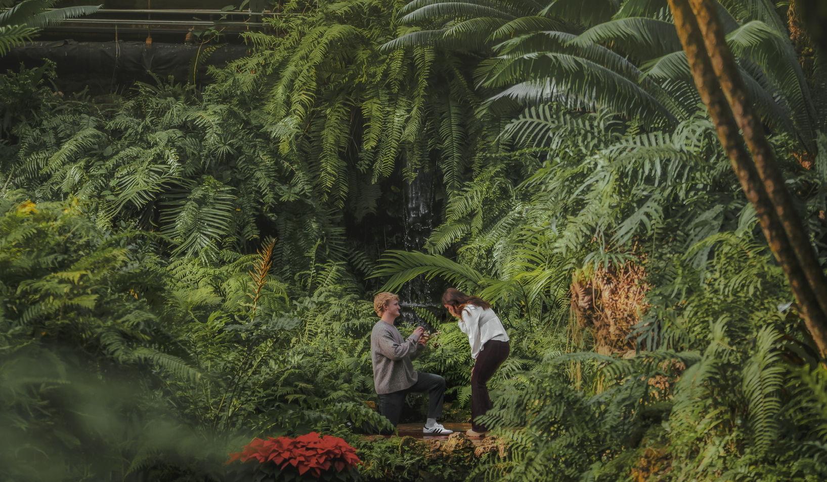 Hero Slideshow Image 0