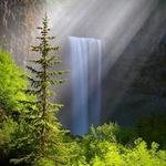 Tamanawas Falls Trail #650A