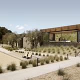 Booker Vineyard
