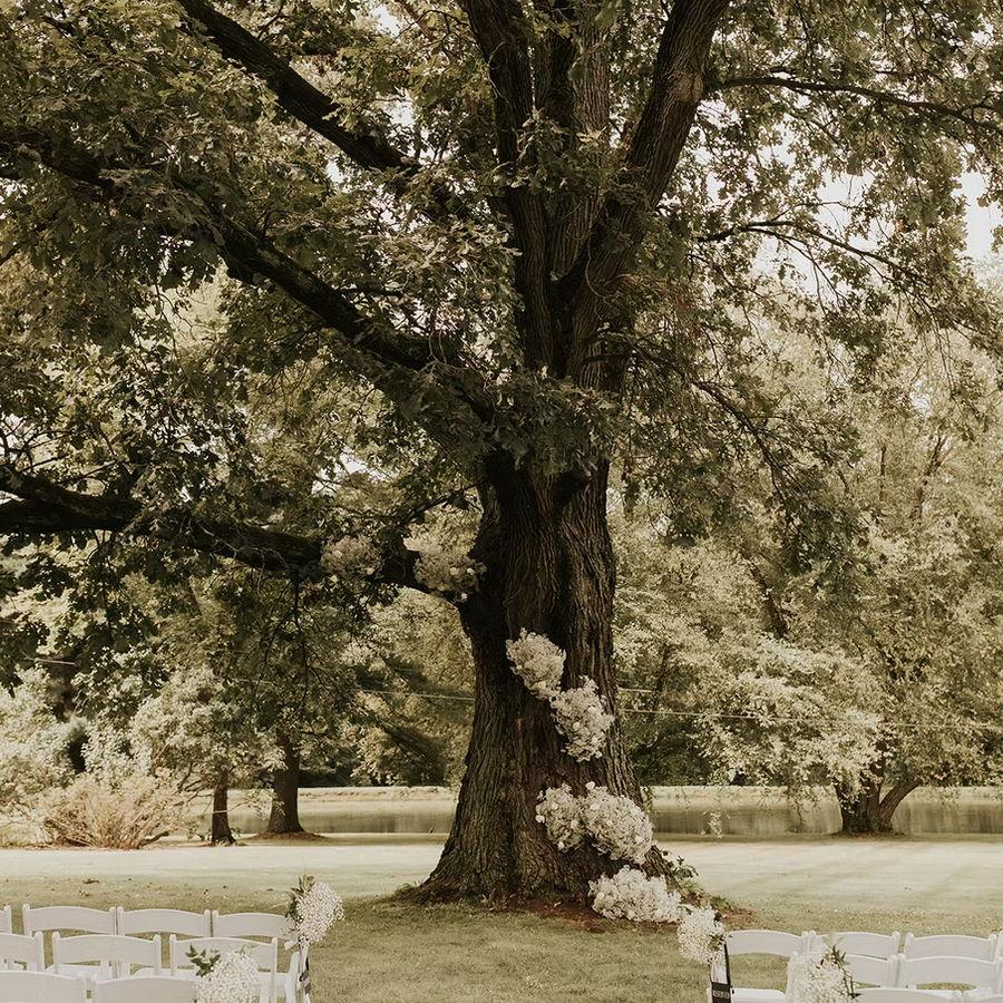 Where  our ceremony will be!