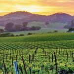 Imagery Estate Winery