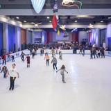 The Ice Rink
