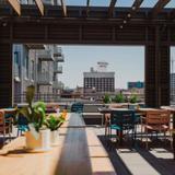 Percheron Rooftop Bar
