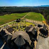 Mountain Brook Vineyards (~30 mins)