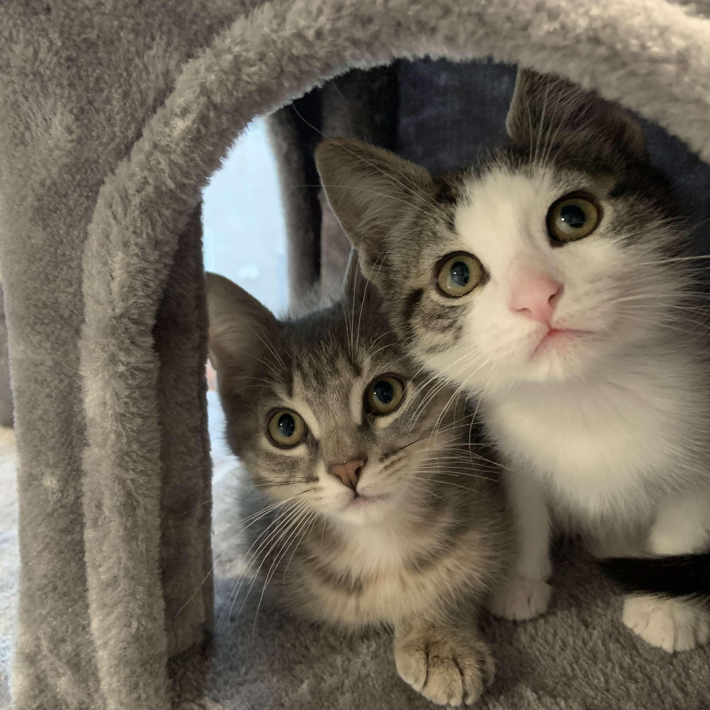 Clara and Otto join the family!