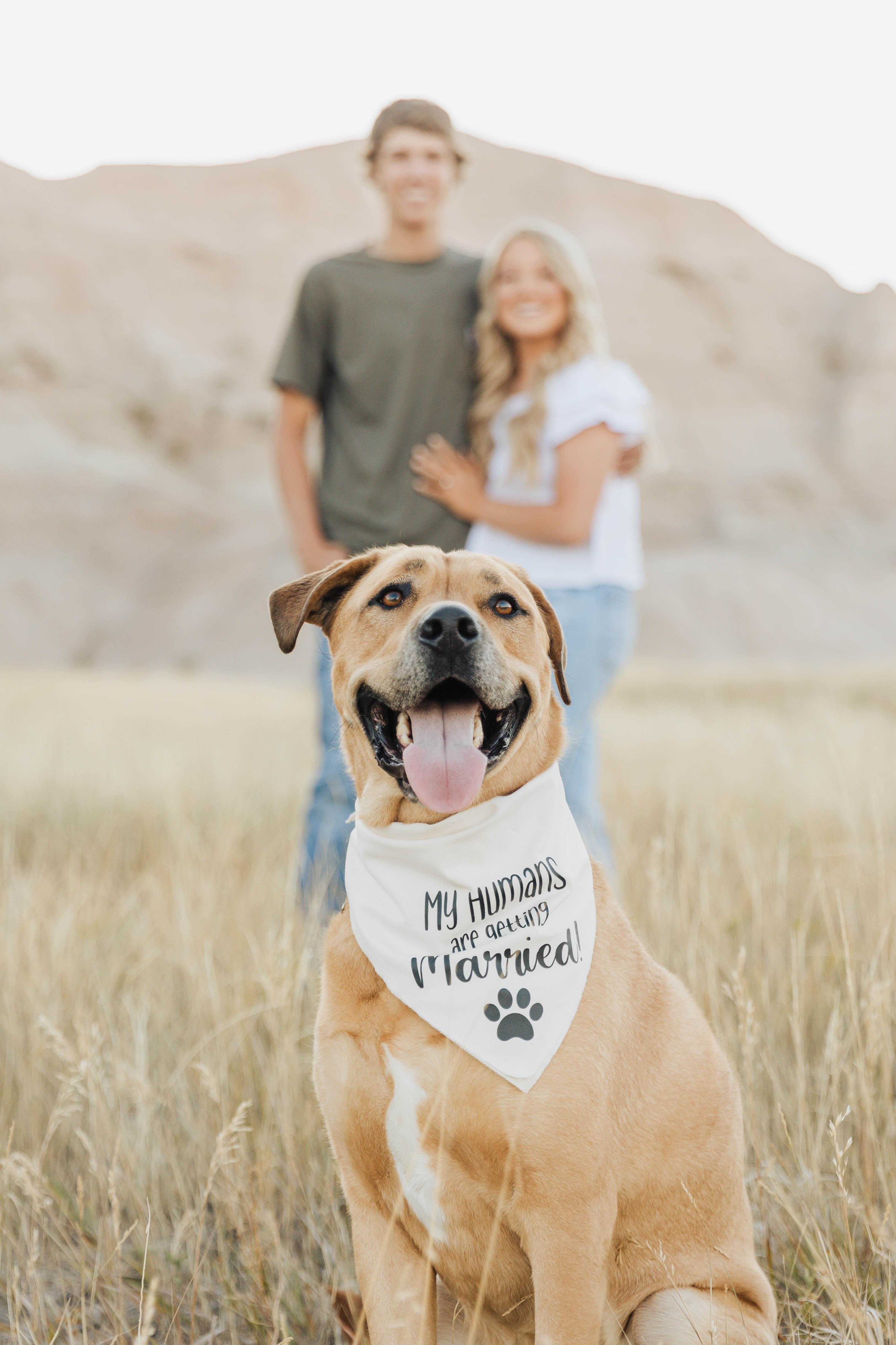 The Wedding Website of Abigail Long and Parker Wollman