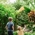 Frederik Meijer Gardens