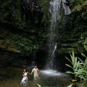 Explore El Yunque Rainforest