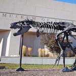 Tour Museum of the Rockies