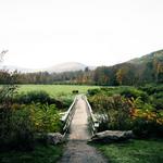 walk the windham path