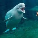 Mystic Aquarium