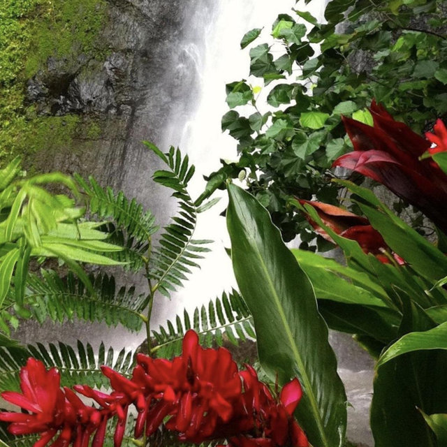 Afareaitu Waterfall Hike